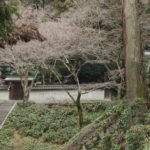 六条天皇　清閑寺陵<br />高倉天皇　後清閑寺陵