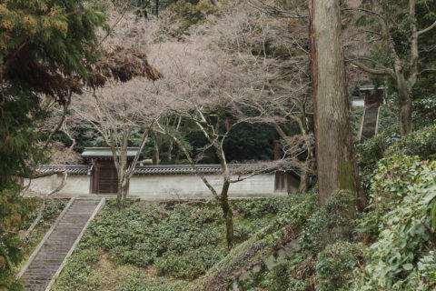 六条天皇　清閑寺陵<br />高倉天皇　後清閑寺陵