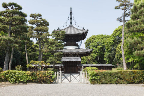 近衛天皇　安楽寿院南陵