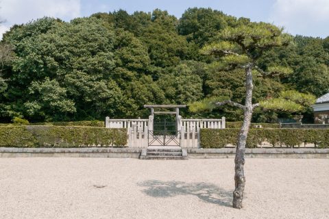 平城天皇　楊梅陵