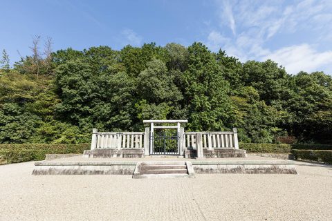 安康天皇　菅原伏見西陵