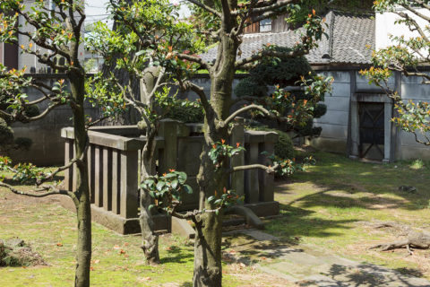 正親町天皇皇孫　興意親王墓