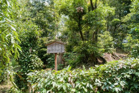 円山陵墓参考地