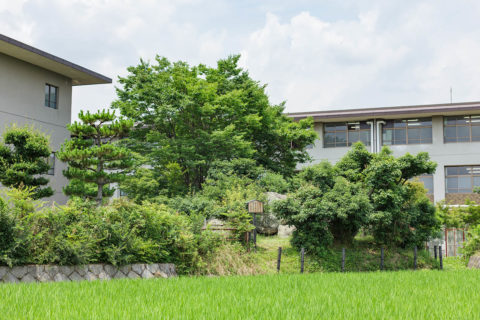 入道塚陵墓参考地