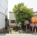 後宮塚陵墓参考地