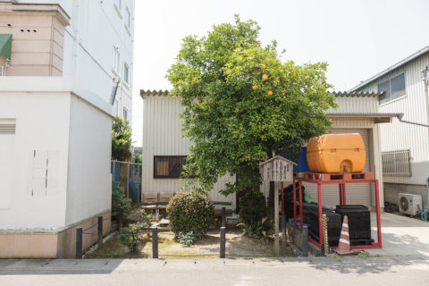 後宮塚陵墓参考地