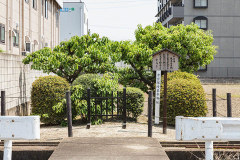 中宮塚陵墓参考地