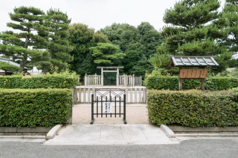 後伏見天皇皇玄孫　尊称天皇　後崇光太上天皇　伏見松林院陵