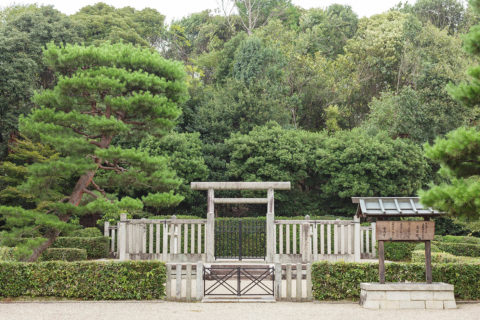 桓武天皇皇后　天之高藤広宗照姫之尊(乙牟漏)　高畠陵