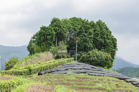 聖武天皇皇子　安積親王　和束墓