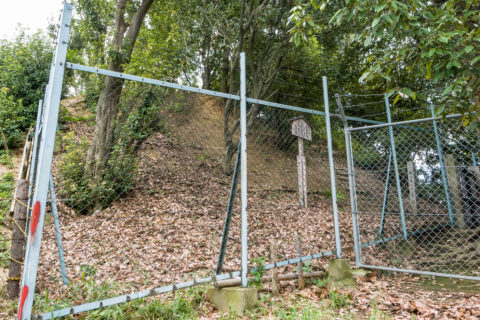 藤井寺陵墓参考地