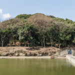 東百舌鳥陵墓参考地