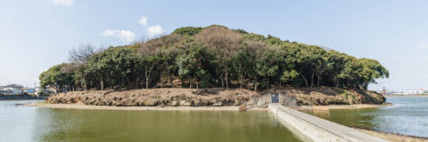 東百舌鳥陵墓参考地