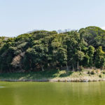百舌鳥陵墓参考地