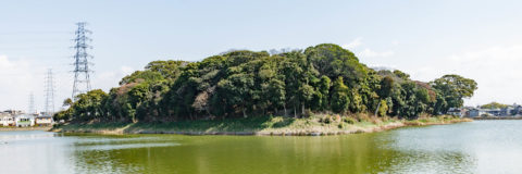 百舌鳥陵墓参考地