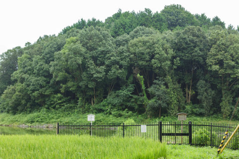 雲部陵墓参考地