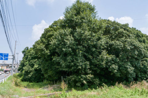 郡山陵墓参考地