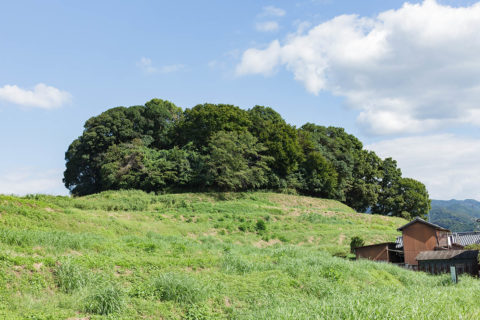 畝傍陵墓参考地