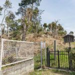 陵西陵墓参考地