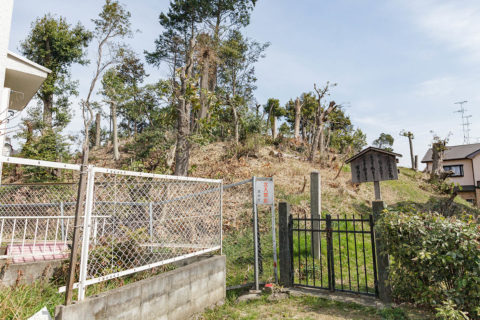 陵西陵墓参考地