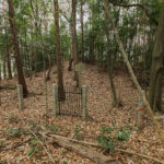 富郷陵墓参考地