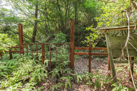 （旧）河根陵墓参考地