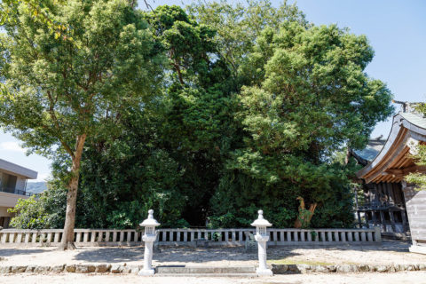 淳仁天皇陵 志知中島伝承地(天皇塚)