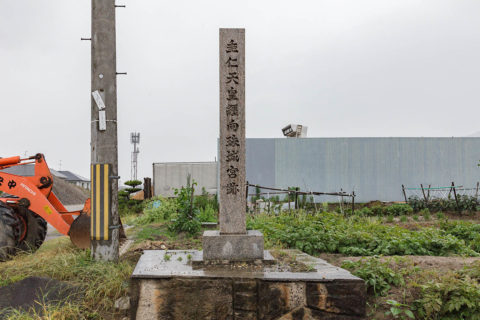 纒向珠城宮 | 新陵墓探訪記