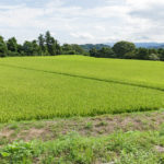 葛城高宮