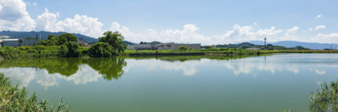 百済大井宮　百済宮