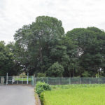 飽波葦垣宮