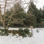 不破行宮（野上行宮）