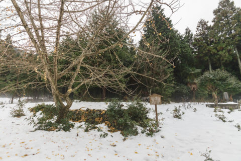 不破行宮（野上行宮）